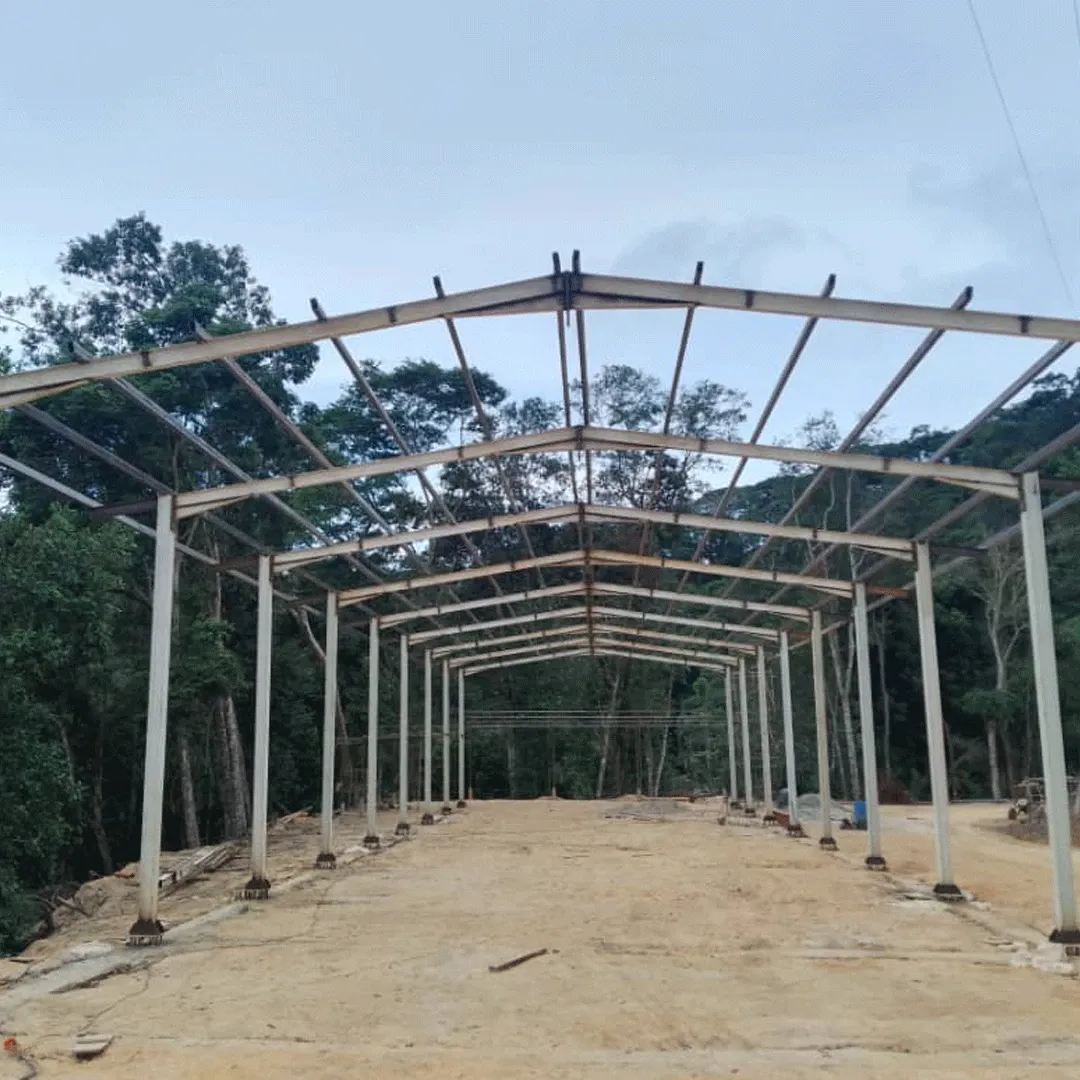 Estructura metálica de galpón terminada en un claro de bosque